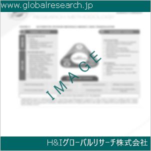グローバルリサーチ調査資料のイメージ